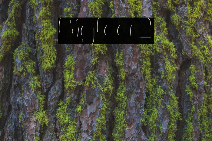 Bigfoot2 フォント examples