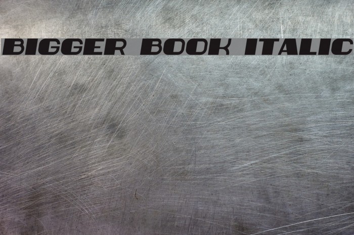Bigger Book Italic Font examples