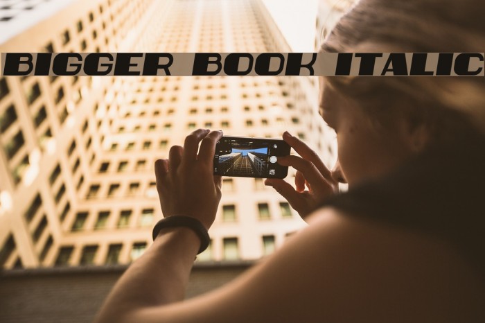 Bigger Book Italic Font examples