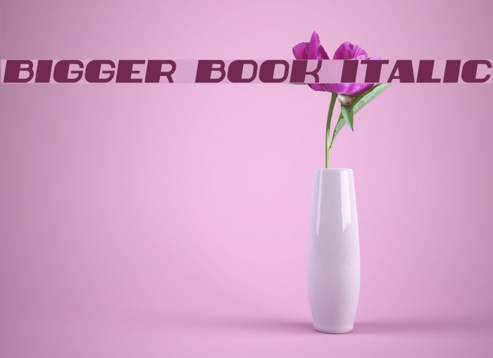 Bigger Book Italic Font examples