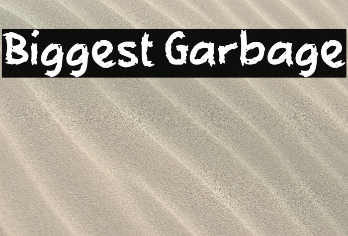 Biggest Garbage Example 2