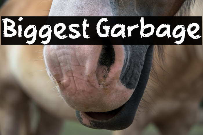 Biggest Garbage Example 3