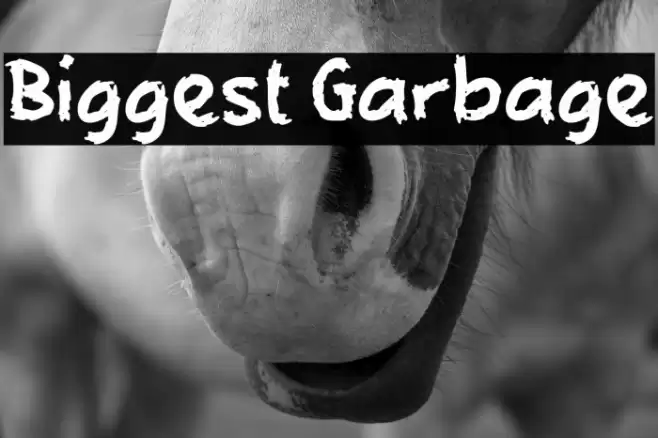 Biggest Garbage Font examples