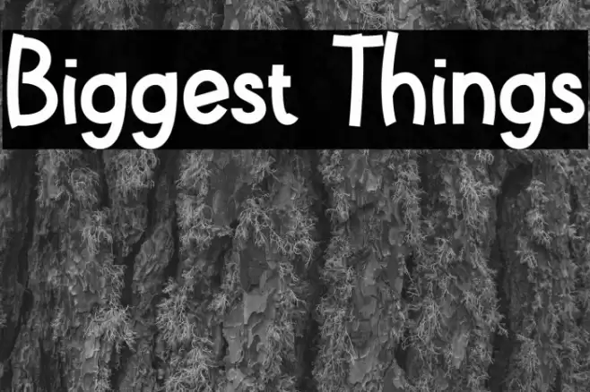 Biggest Things Font examples