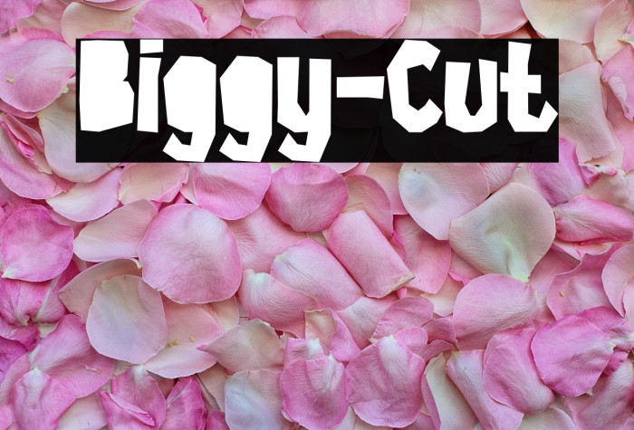 Biggy-Cut Example 2