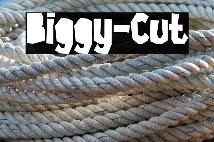 Biggy-Cut Example 3