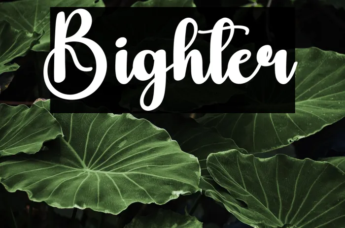 Bighter Example 3