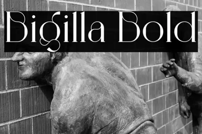 Bigilla Bold Font examples