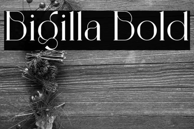 Bigilla Bold Font examples
