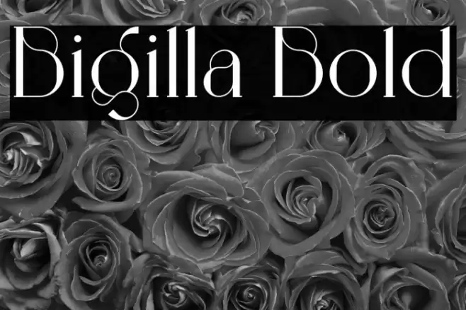 Bigilla Bold Font examples