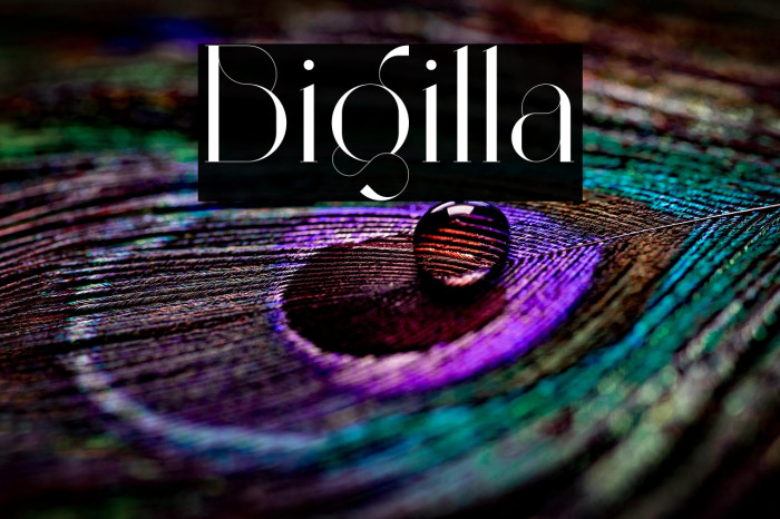 Bigilla Example 1