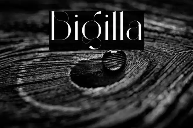 Bigilla Font examples