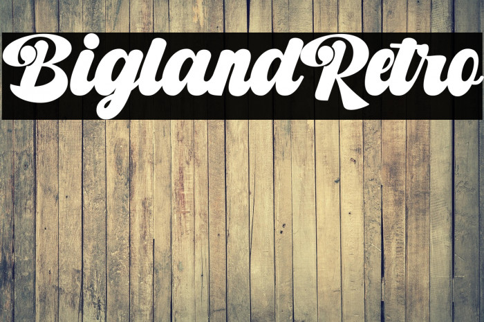 BiglandRetro Example 2