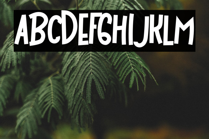 Bigloss Regular Example 2