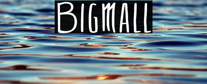 Bigmall Example 2