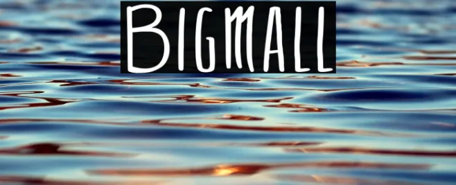 Bigmall Example 2