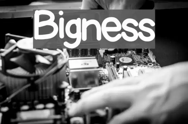Bigness Font examples