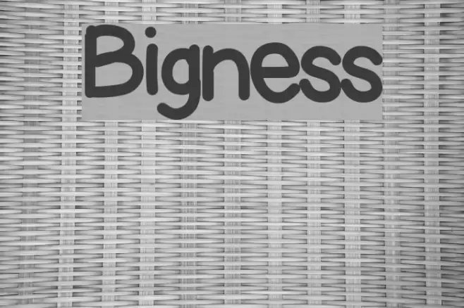Bigness Font examples