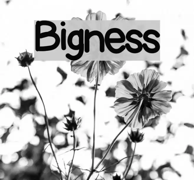 Bigness Font examples