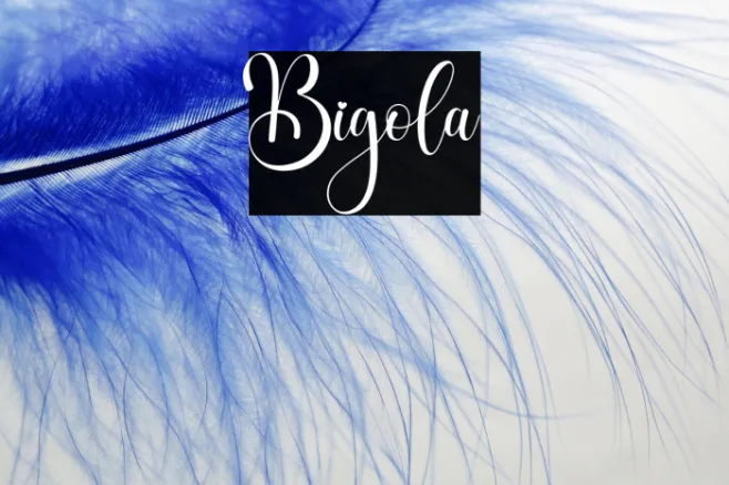 Bigola Example 1