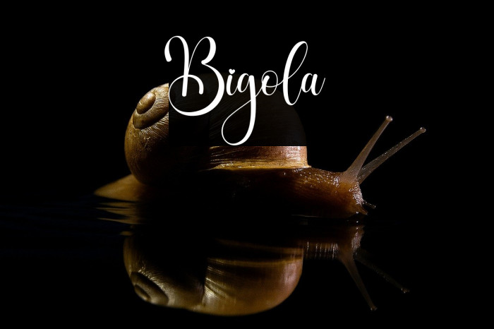 Bigola Example 2