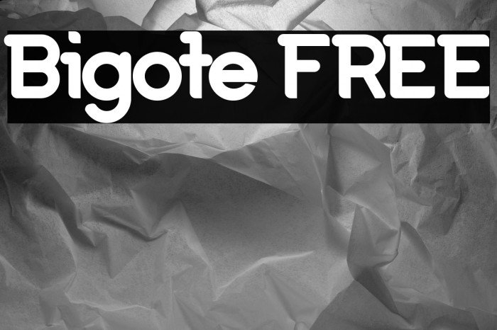 Bigote FREE Example 1