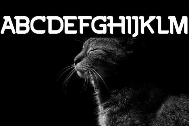 BigoteFREE Font examples