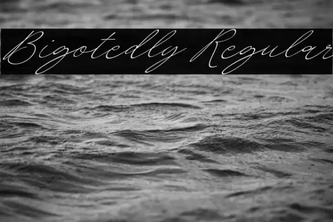 Bigotedly Regular 字体 examples