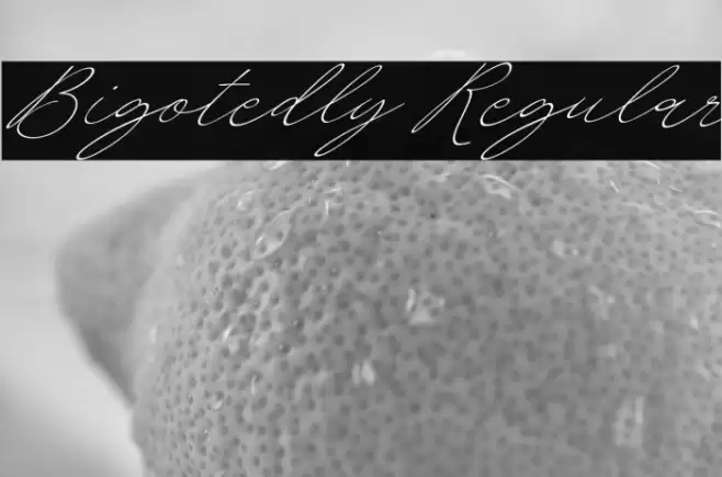 Bigotedly Regular 字体 examples