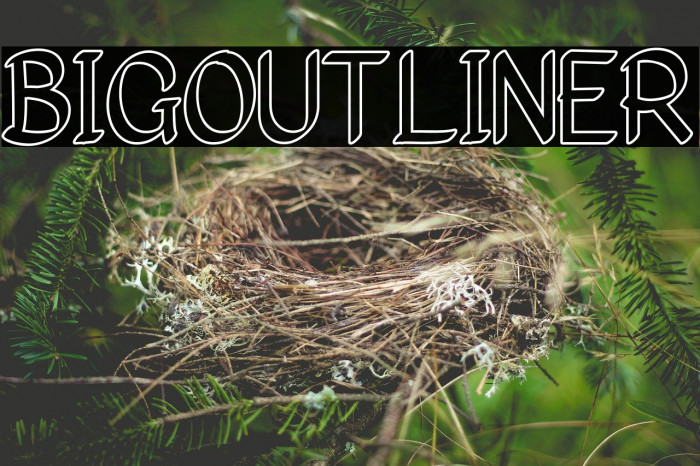 Bigoutliner Font examples