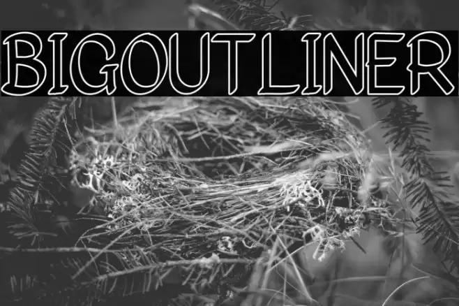 Bigoutliner Schriftart examples