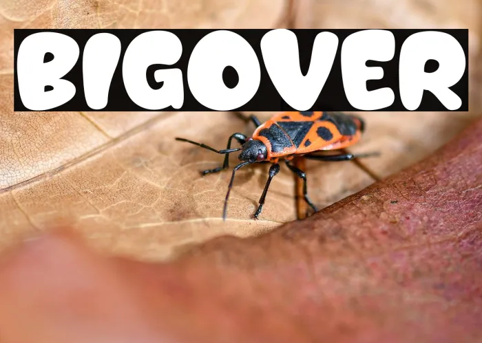Bigover Example 1