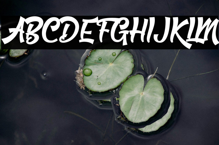 Bigroads Script Demo Example 2