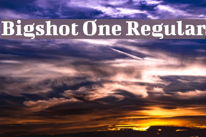 Bigshot One Regular Font examples