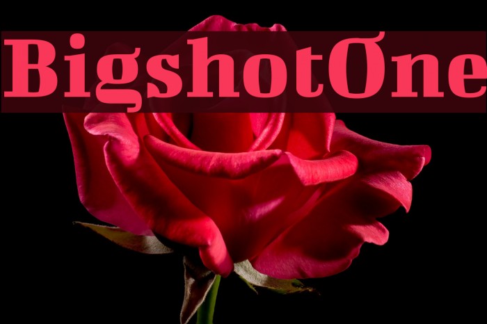 BigshotOne Font examples