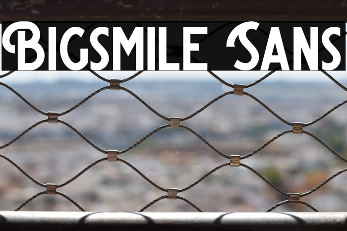 Bigsmile Sans Example 1