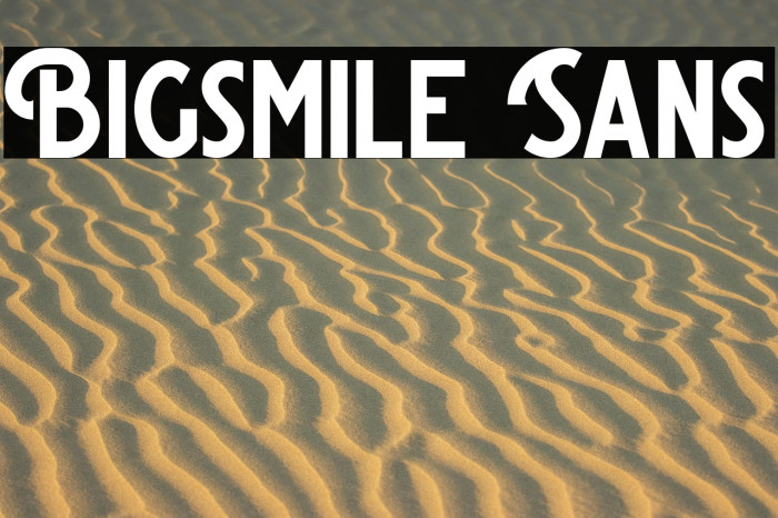 Bigsmile Sans Example 3