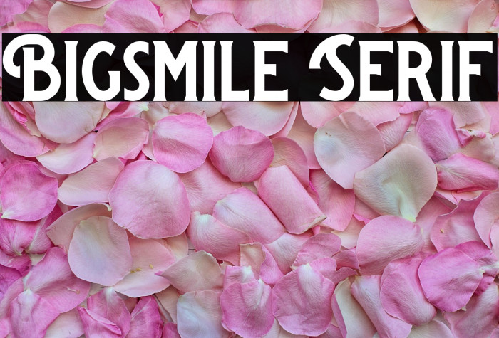Bigsmile Serif Example 2