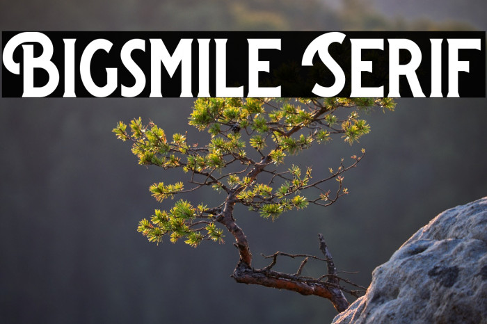 Bigsmile Serif Example 3