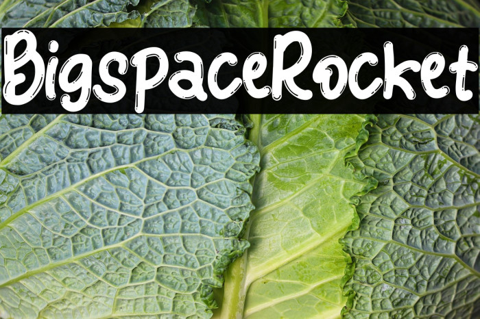 Bigspace Rocket Example 3