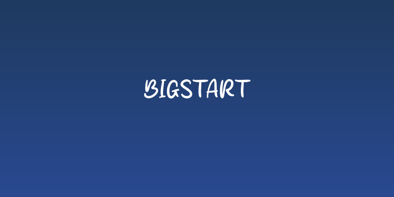 Bigstart Social Header