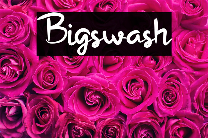 Bigswash Example 1