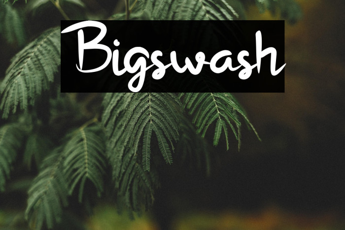 Bigswash Example 2