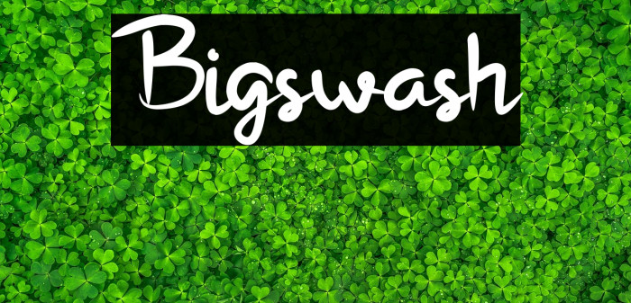 Bigswash Example 3