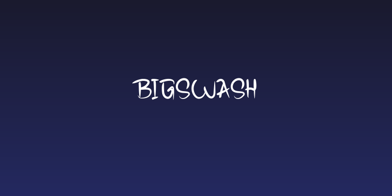 Bigswash Social Header