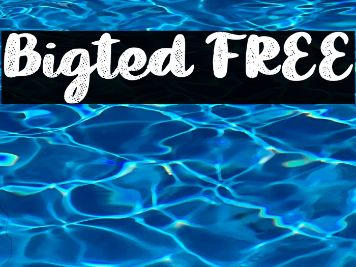 Bigted FREE Example 1