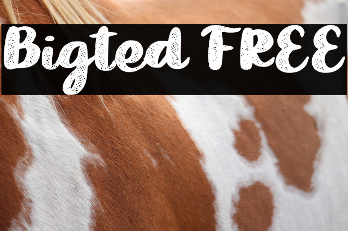 Bigted FREE Example 2