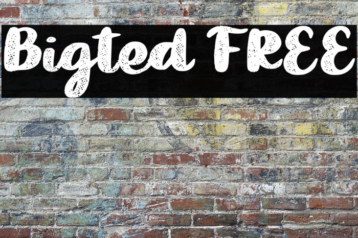 Bigted FREE Example 3