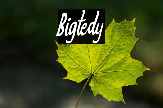 Bigtedy Example 2