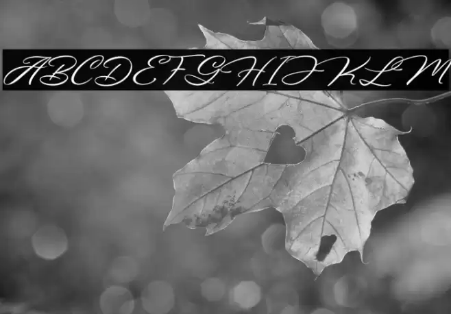 Bigtime Font examples